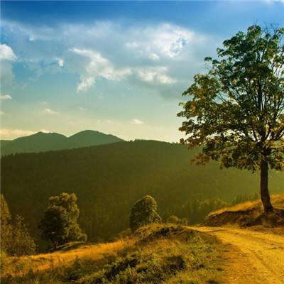 炸金花游戏下载手机版